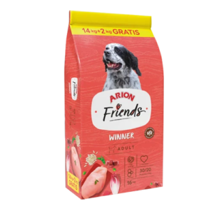 Arion Friends Winner